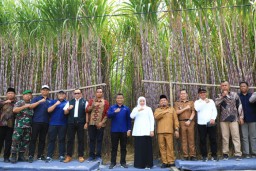 Luncurkan KUR Khusus Petani Tebu Jatim, Gubernur Khofifah: Manfaatkan untuk Usaha Produktif