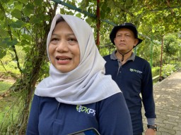 Jelang Iduladha 2025, DKPP Surabaya Siapkan Pengawasan Ketat untuk Penjualan Hewan Kurban