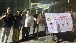 Gerindra Jatim Tebar 571 Hewan Kurban, Sapi 950 Kg Diserahkan ke PWNU