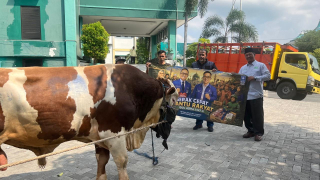 PAN Jatim Salurkan 8 Sapi Kurban ke NU, Muhammadiyah dan Ponpes di Jawa Timur