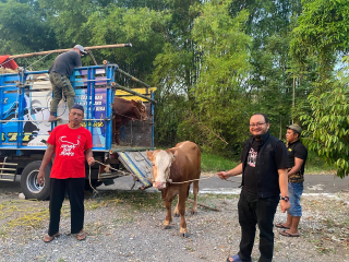 PDIP Jatim Tebar 468 Sapi Kurban, Deni Wicaksono: Iduladha Momentum Perkuat Gotong Royong