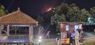 Karhutla Kepung Pegunungan Jatim, Bromo hingga Arjuno Masih Dilanda Api