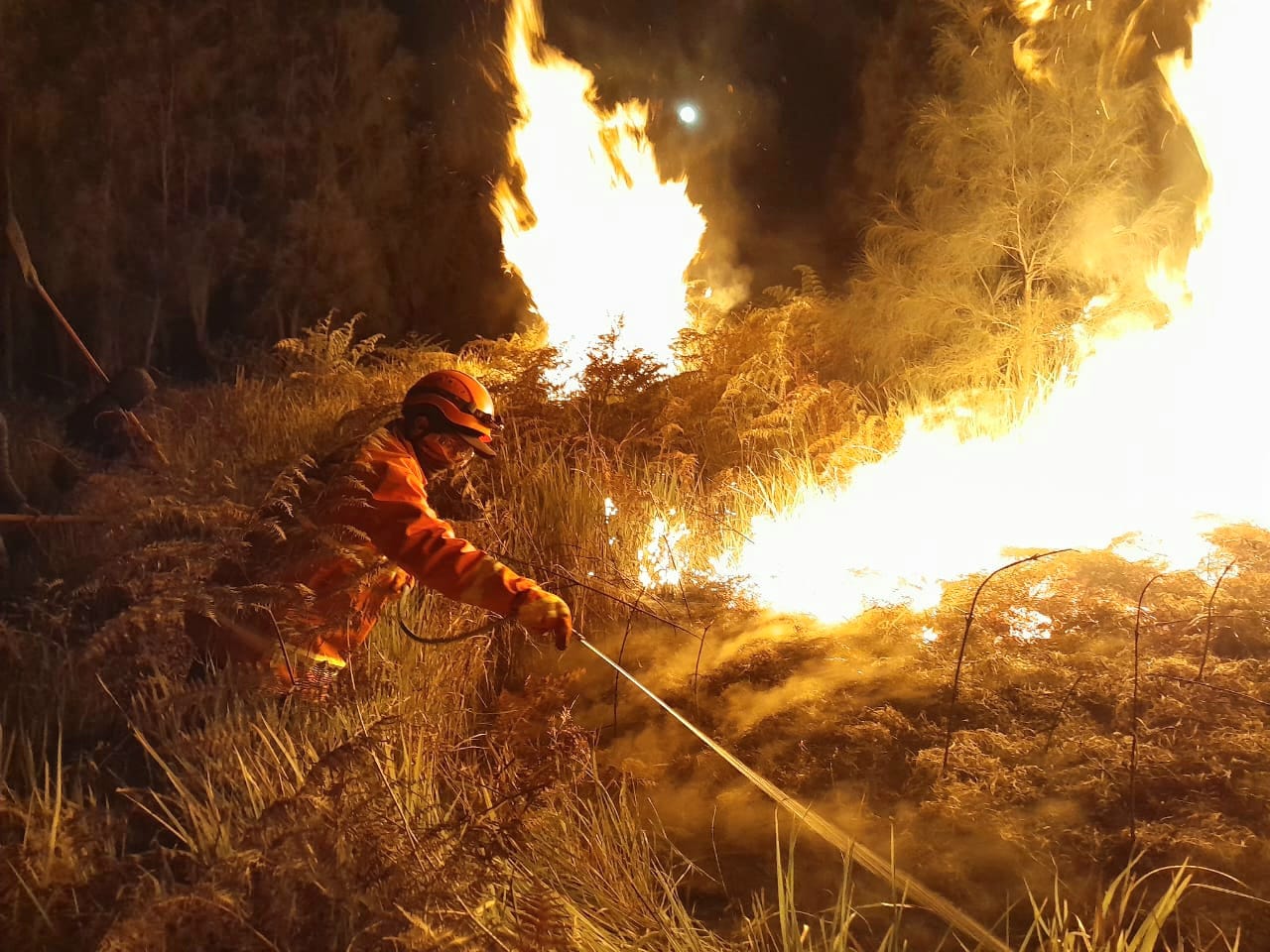 Petugas berjibaku padamkan kebakaran di Gunung Bromo, Sabtu (22/6/2024).