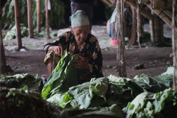 Suasana Desa Bagon, salah satu penghasil tembakau terbesar di Jawa Timur. Ist