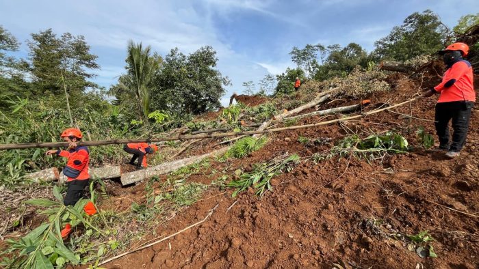 Tim SAR Gabungan Kembali Mencari Satu Korban Longsor di Jombang, Terapkan 2 Metode Pencarian