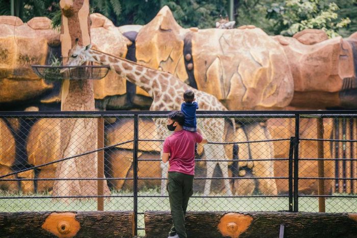Libur Panjang, Kebun Binatang Surabaya Dikunjungi 66 Ribu Wisatawan
