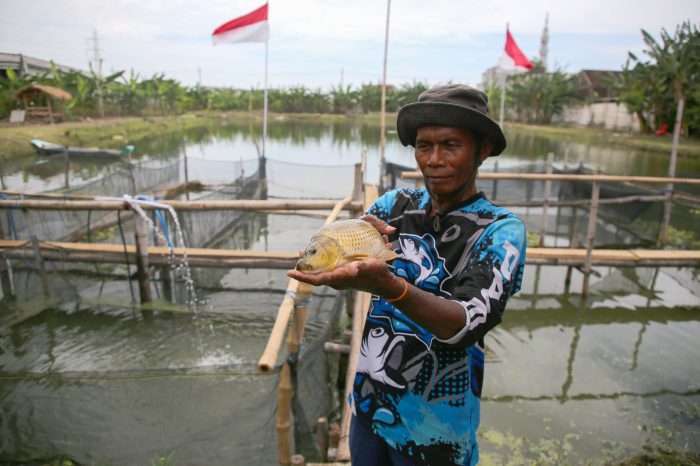 Poktan Pajero Grup, Manfaatkan Bozem sebagai Lahan Pertanian hingga Budidaya Ikan