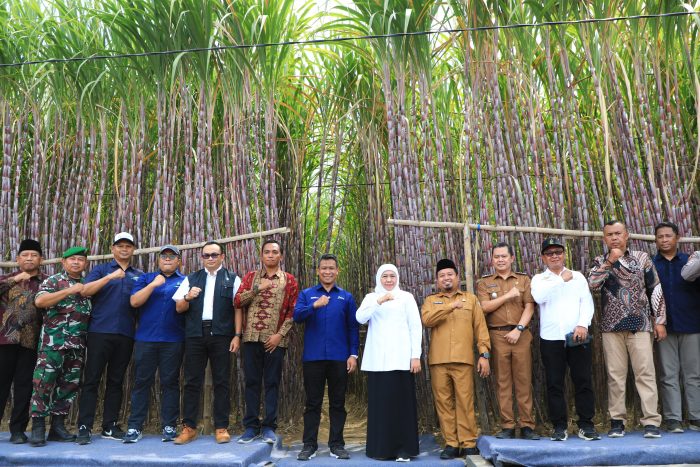 Luncurkan KUR Khusus Petani Tebu Jatim, Gubernur Khofifah: Manfaatkan untuk Usaha Produktif