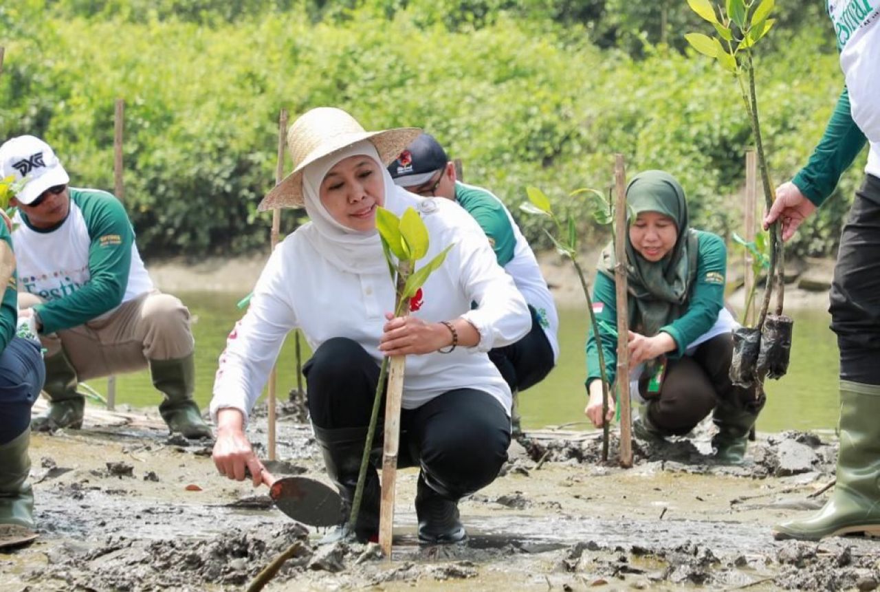 Gubernur Khofifah nandur mangrove. (Foto: Humas Pemprov Jatim)