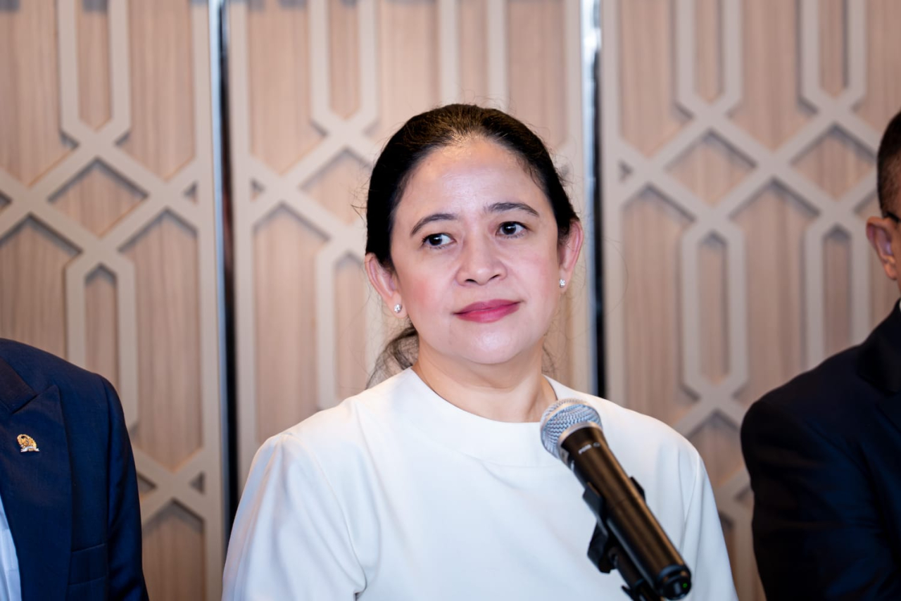 Paun Maharani, Ketua DPP PDI Perjuangan