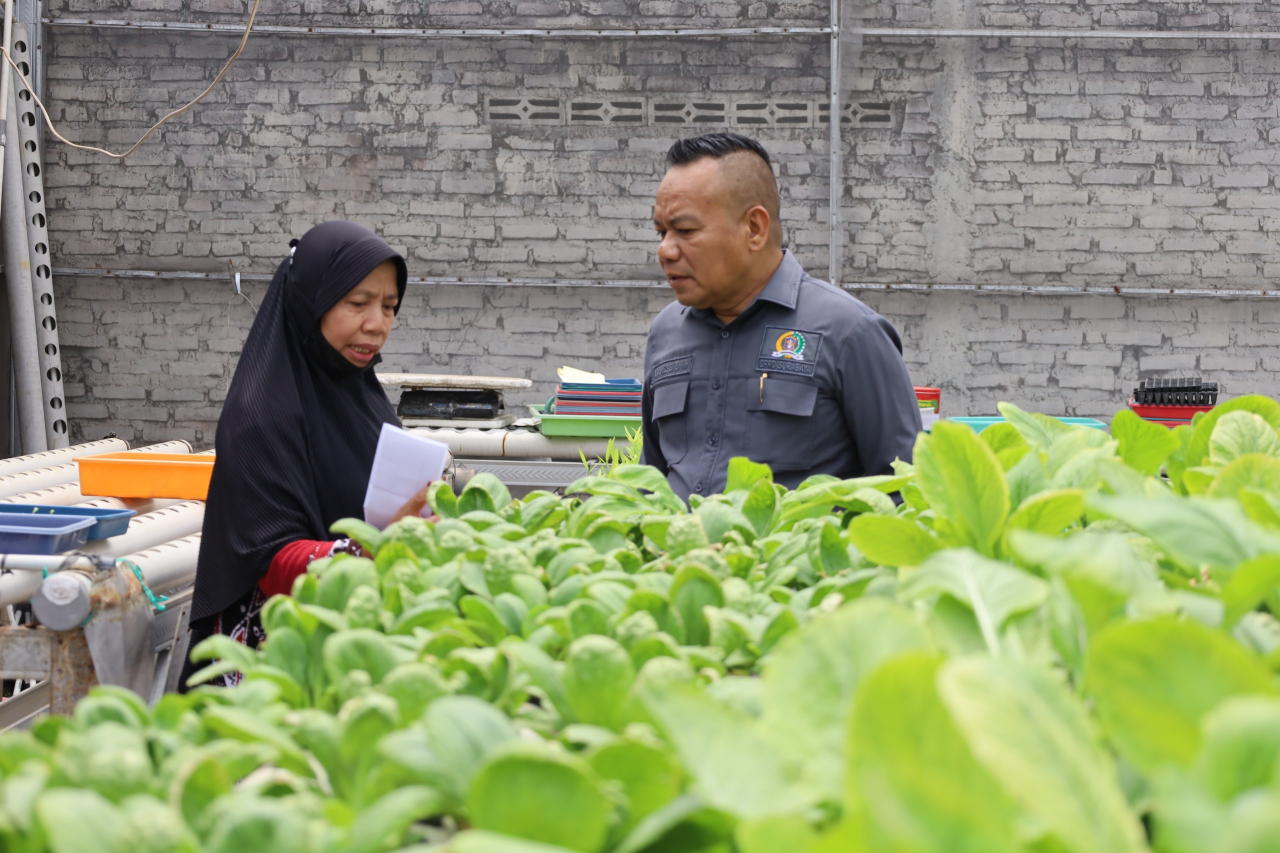 Ketua Komisi A DPRD Kota Surabaya Yona Bagus Widyatmoko saat meninjau kebun hidroponik Sri Rejeki Jitu
